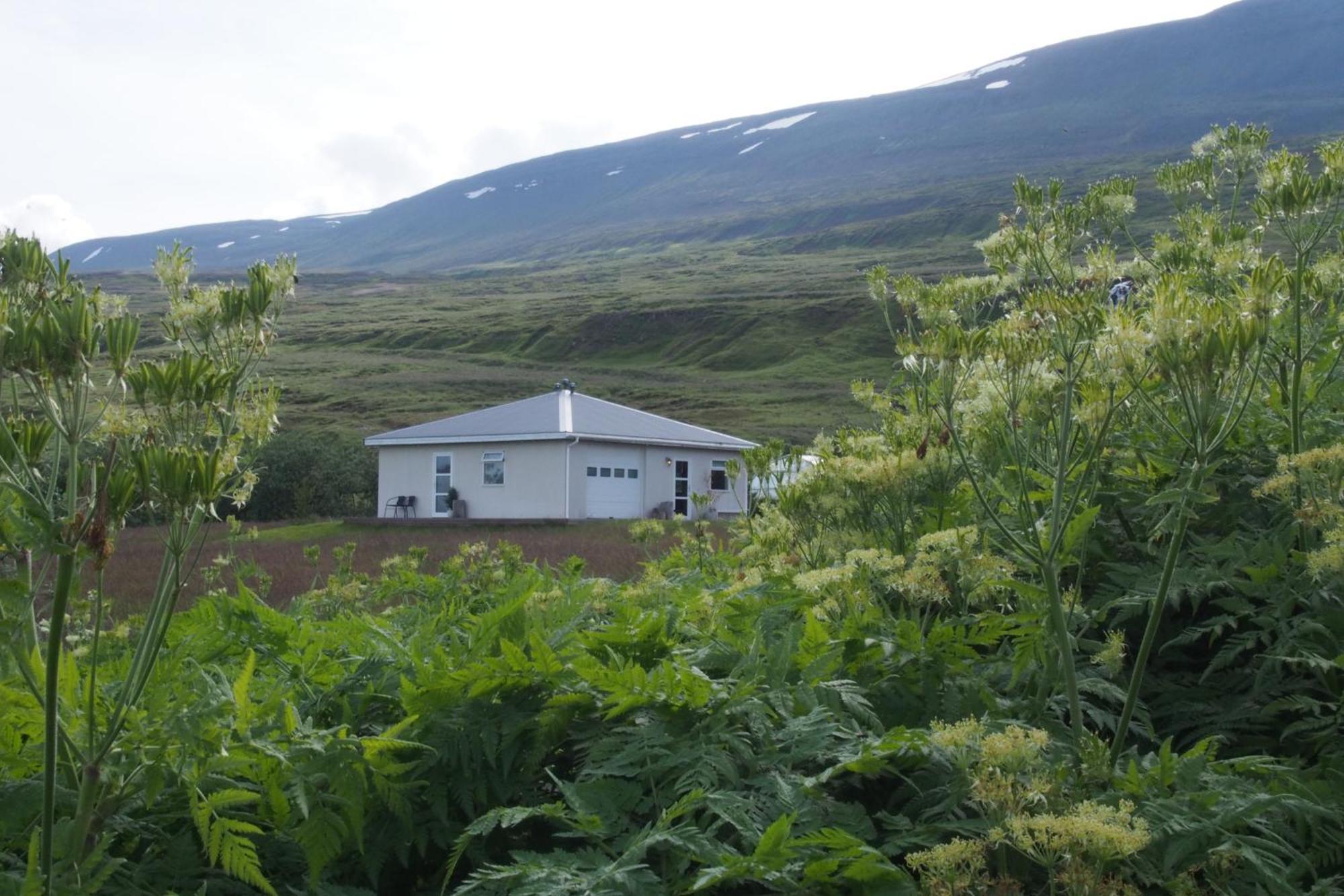 Granastathir Guesthouse Húsavík Dış mekan fotoğraf